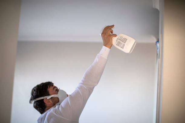 Home Mold Removal in St James, NC