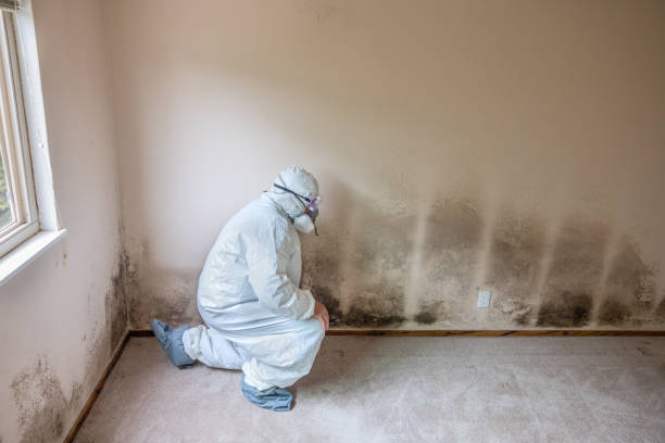 Water Damage Restoration in St James, NC